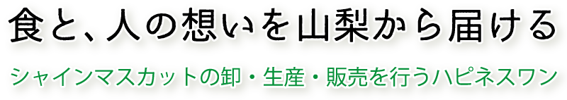 「食と、人の想いを山梨から届ける」シャインマスカットの卸・生産・販売を行うハピネスワン